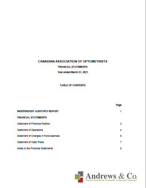 CAO Financial Statements 2020-21