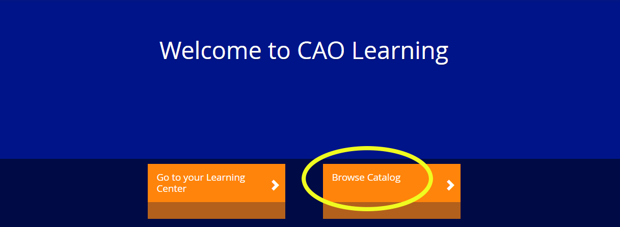 Preview of CAO Learning homepage
