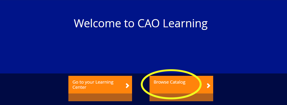 Preview of CAO Learning homepage