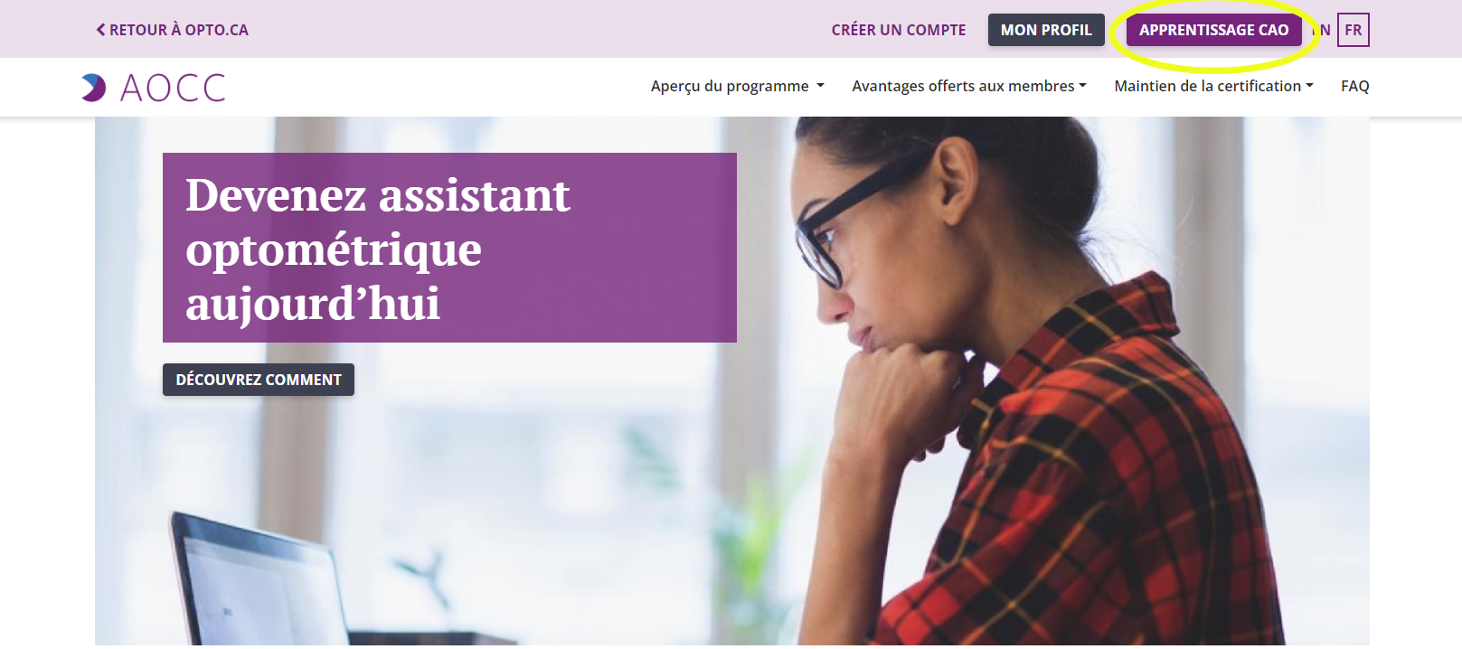 Preview of CAO Learning tab