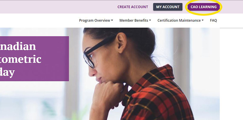 Preview of CAO Learning tab