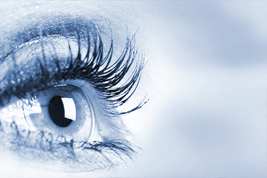 Eye with scleral contact lens