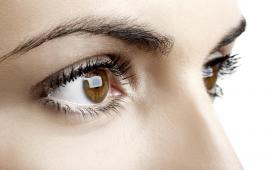 Brown Eyes Photo
